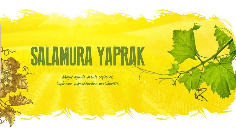 salamura yaprak